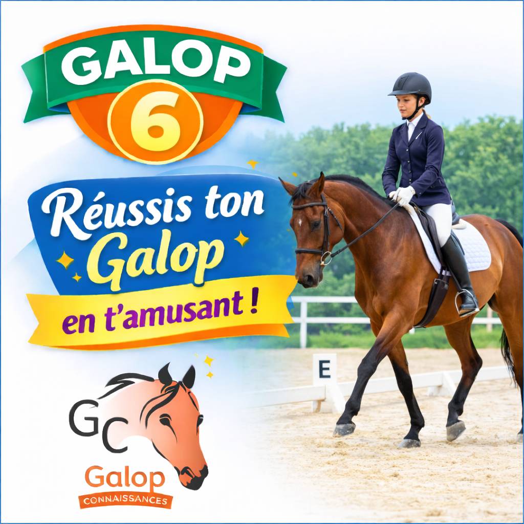 Sitemapcdatahttpsrfswindecoocomfrance Galop Mon Comptenull