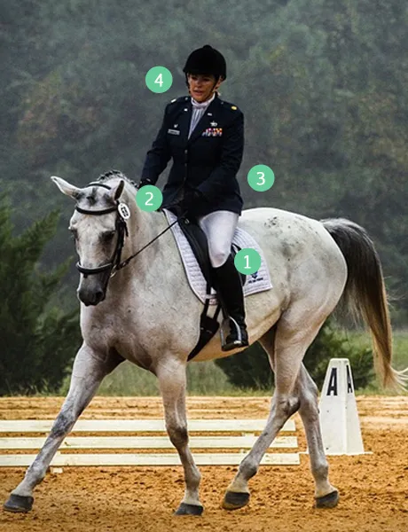 Cavalier utilisant les aides naturelles à cheval pour diriger et équilibrer