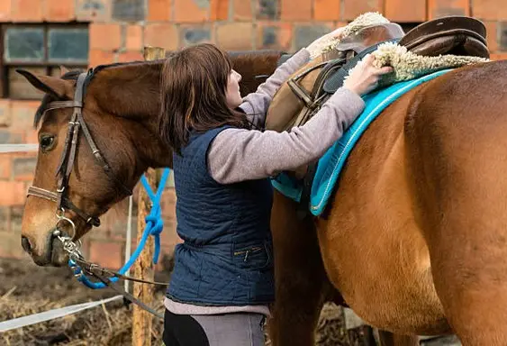 Mettre la selle : poser la selle sur le tapis