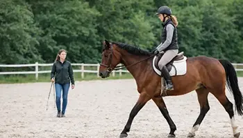 Photo illustrant les transitions pas trot pas en carrière