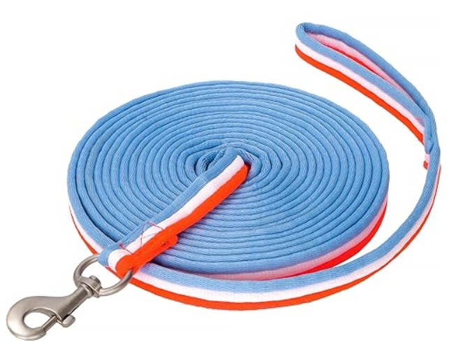 Modèle d'une longe en nylon de 8 mètres avec mousqueton et dragonne