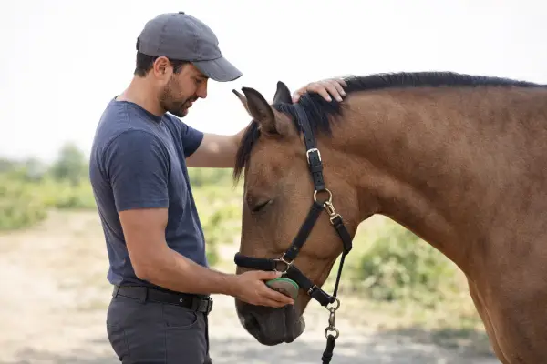 Moniteur qui manipule correctement la tête de son cheval pour lui apprendre  à la baisser