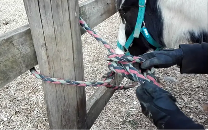 Étape 7 du nœud d'attache