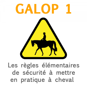 Règles élémentaires de sécurité à cheval