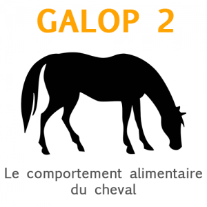Galop 2: Le comportement alimentaire du cheval
