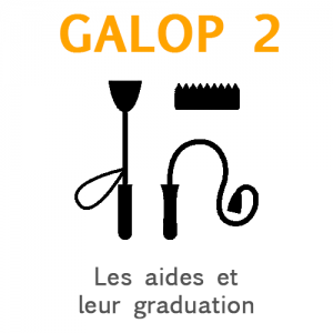 Galop 2: Les aides pour avancer et leur graduation