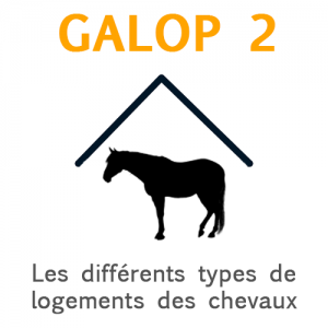 Galop 2: les types de logements des chevaux