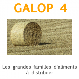 Galop 4, les grandes familles d'aliments à distribuer: fourrages, concentrés et minéraux