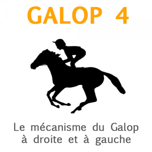 Galop 4, le mécanisme du galop à droite et à gauche