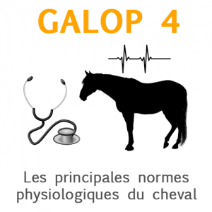 Galop 4, les principales normes physiologiques du cheval
