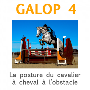 Galop 4, la posture du cavalier à cheval à l'obstacle
