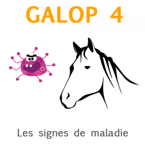 Galop 4, les signes de maladie chez le cheval