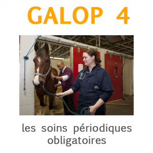 Galop 4, les soins périodiques obligatoires et recommandés du cheval