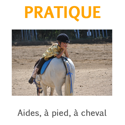 Quiz Passer son galop 2 officiel - Galop 1, Equitation, Chevaux