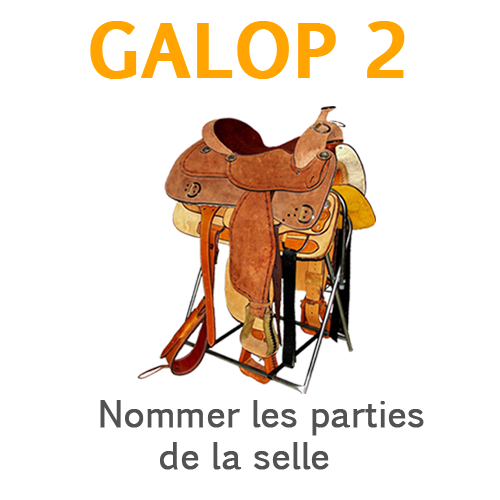 LA THEORIE DU GALOP 2, on révise ensemble ? - DWH 2.0 