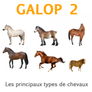 galop 2 principaux types de chevaux