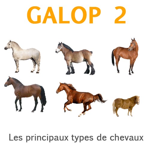 Le Galop 2 : Le guide complet - Contre Galop