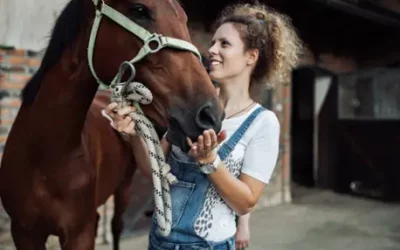 Créer un vrai lien avec son cheval : au-delà du pansage et des carottes