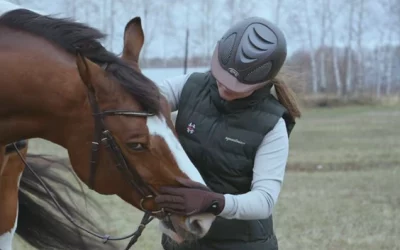 Les erreurs qu’on fait sans s’en rendre compte… et qui stressent le cheval