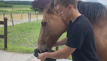 Comment mettre et enlever le licol