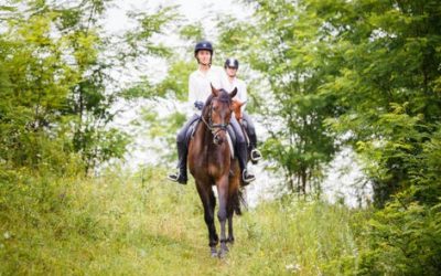 Cavalier débutant adulte : 7 pensées que tu as déjà eu
