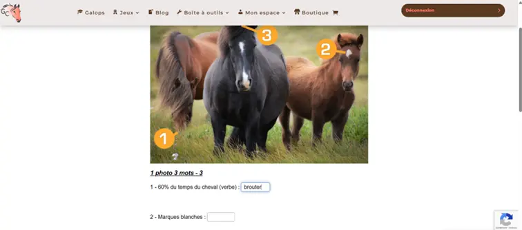 1p3m-galop-connaissances 1p3m de galop connaissances