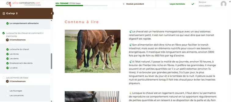 contenu-a-lire pédagogie multimodale : contenu à lire