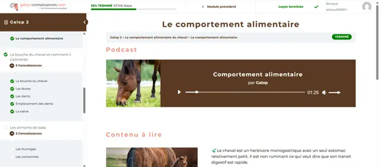 contenu-audible-galop-connaissances pédagogie multimodale : contenu audible