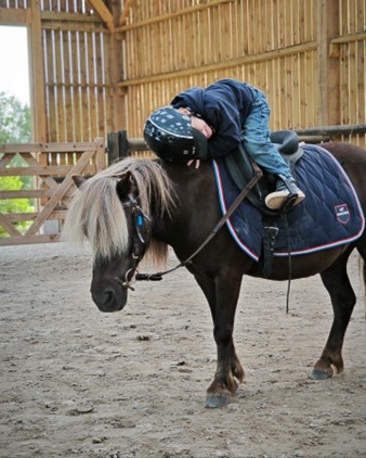 Cours de kérain équitation partenaire de Galop Connaissances