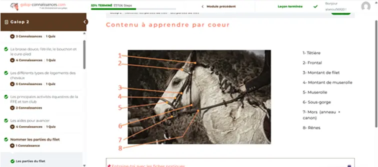 fiche-pratique-galop-connaissances Les fiches pratiques de galop connaissances