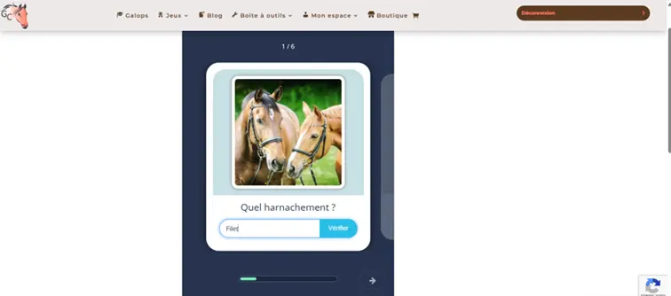 flash-card groupe de galop connaissances