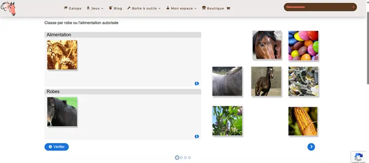 groupe-galop-connaissances groupe de galop connaissances