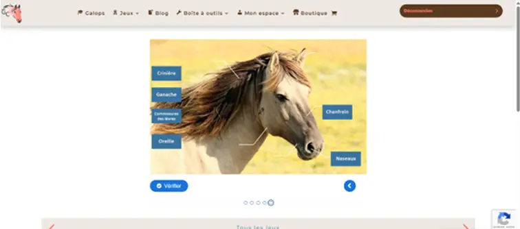 pos-it-galop-connaissances les post it de galop connaissances