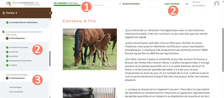 progression-pedagogique pédagogie multimodale : contenu audible
