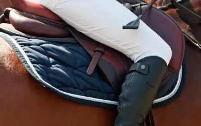 Travailler son assiette : exercices à pied et à cheval