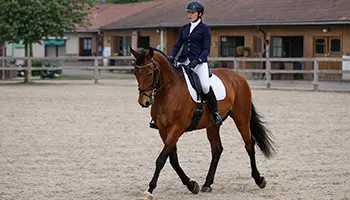 La cession à la jambe du cheval