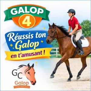 Quiz d’équitation Galop 4 avec un adolescent au trot enlevé en carrière, préparation Galop Connaissances