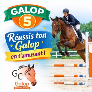 Quiz d’équitation Galop 5 avec un cavalier franchissant un obstacle en concours, Galop Connaissances