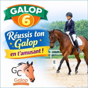 Quiz d’équitation Galop 6 avec une cavalière en reprise de dressage, entraînement Galop Connaissances