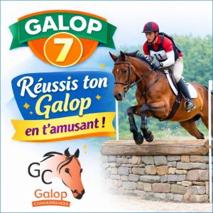 Quiz d’équitation Galop 7 avec un cavalier en concours complet de cross, Galop Connaissances