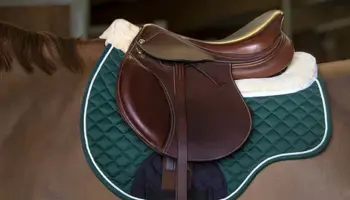 L’amortisseur et le pad