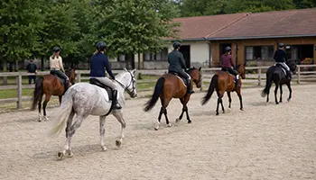 Le changement de main à cheval