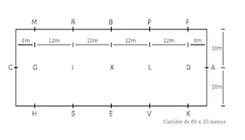 Les lettres de manège
